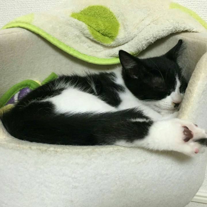 D3ba6de7 9cea 4d76 85a1 309bd7b561af