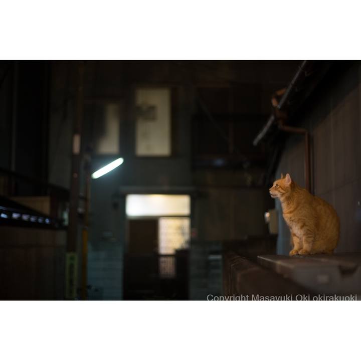 D3bca196 41fc 4cc1 96fc 0eaeb1e4da41