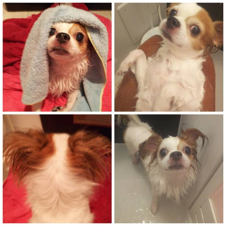 D3bda84b 0771 46be b13e 54187df383f7