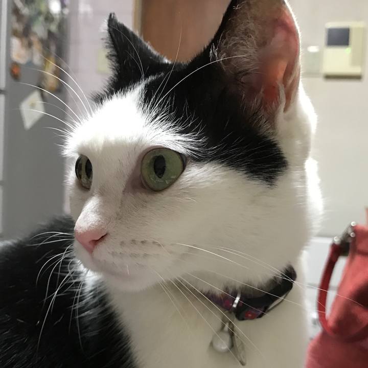 D3be3279 b2b2 4e5e 96d0 b2510aa7c9f6