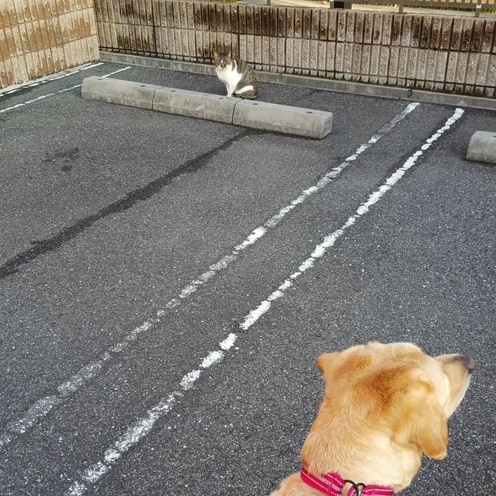 D3be7528 371f 40bf 8d23 fc06e5be96c9