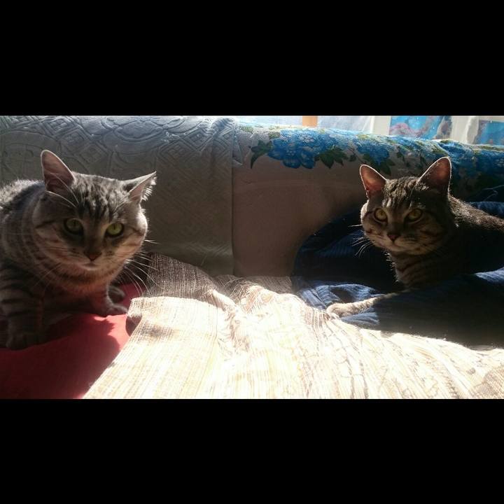 D3be7b35 4266 44d1 ba72 80323e3d367a