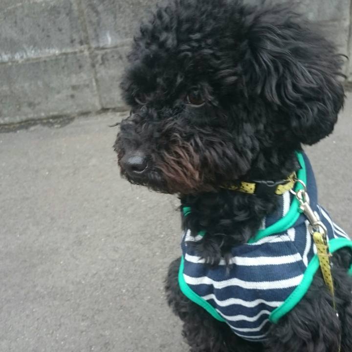 D3bf3485 edfd 4ec1 a5b0 89a7120948d2