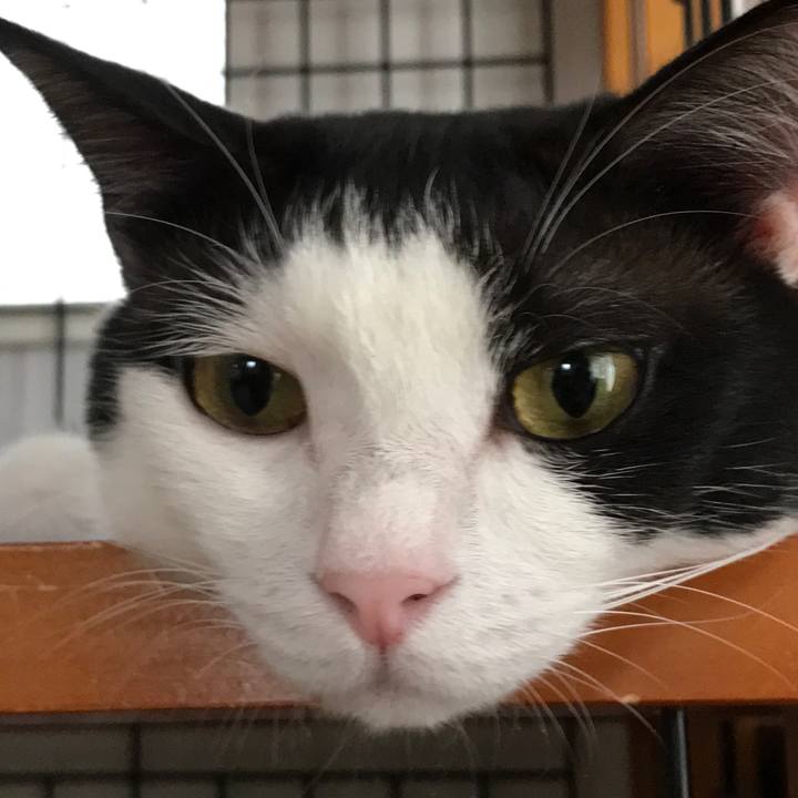 D3bf4537 d695 460c 93f6 4a7128a5007d