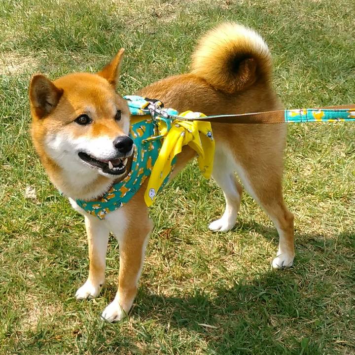 D3bf5a3e 2909 40c7 985d 7b6e435e9eae