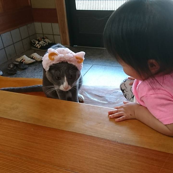 D3bf889e c229 4fb0 b471 cdf518f54980