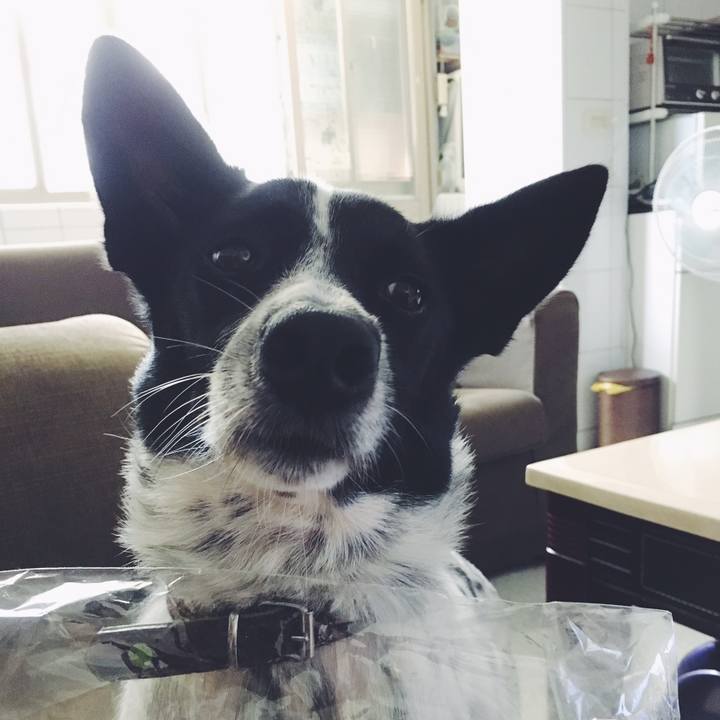 D3bf8dcd 24a6 43ee 9bac f6eb48e1d5f4