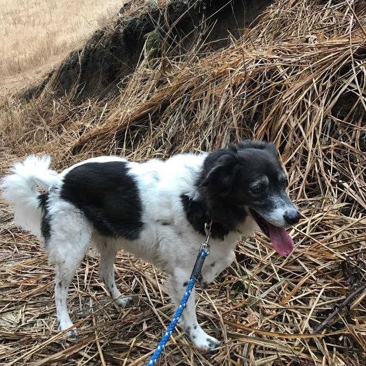 D3c04112 7116 482b 9308 c53ca3e48ff0