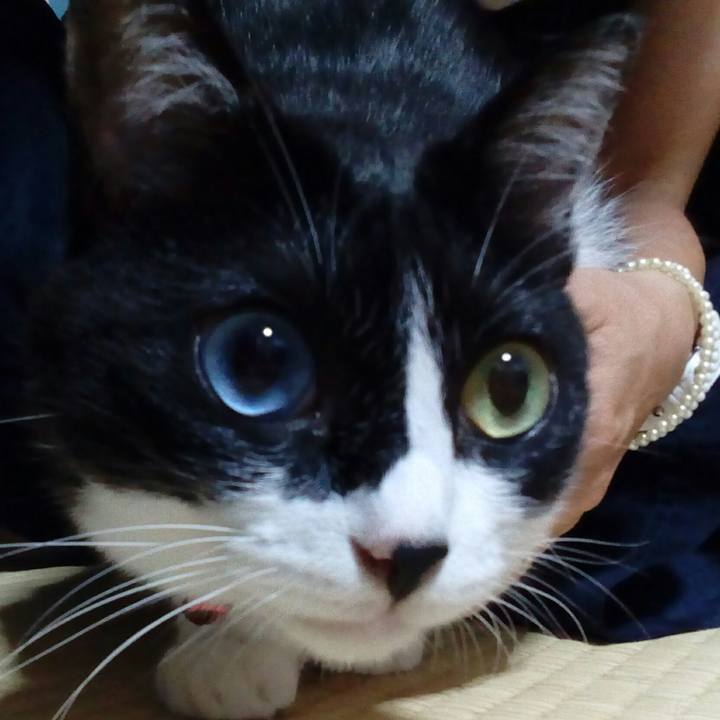 D3c050f0 6d20 4852 b154 f360049539c4