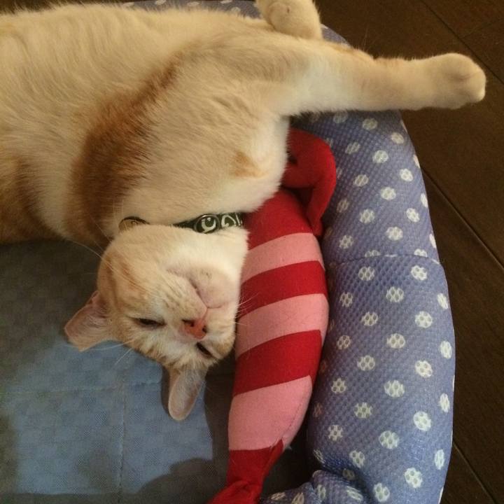 D3c05d7a d20d 4508 8356 f744f48d607f