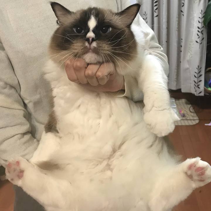 D3c0e32e dd7a 4e4d 8561 c72eb98a60ca