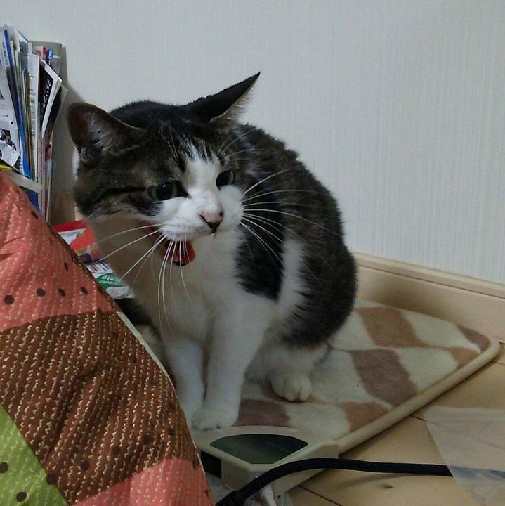 D3c1a079 44ee 4e2e 915c 61a201f72ff5