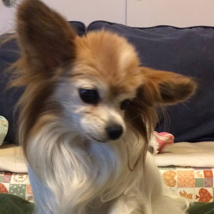 D3c1a86b a4ec 4d9e 85d4 455a4dc395d3