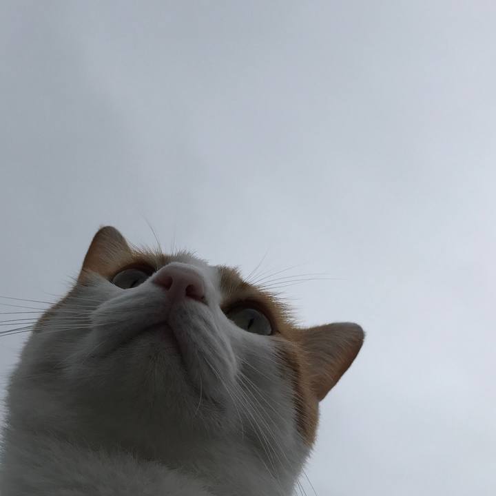 D3c1baaa 70bc 41d9 aa30 f649e06eedb1