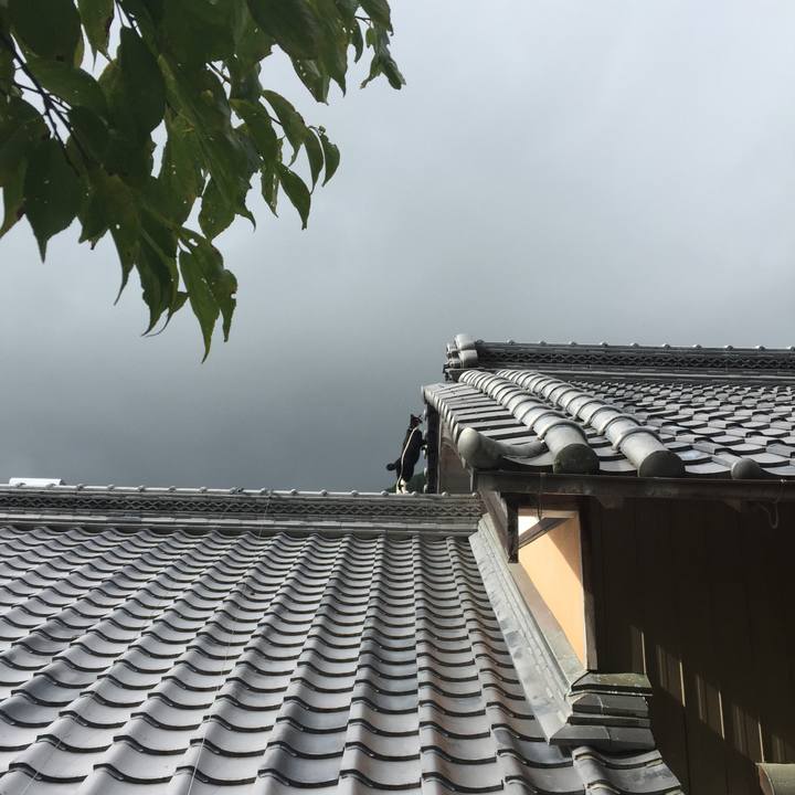 D3c295b4 156a 42df 95c2 38656af52da8