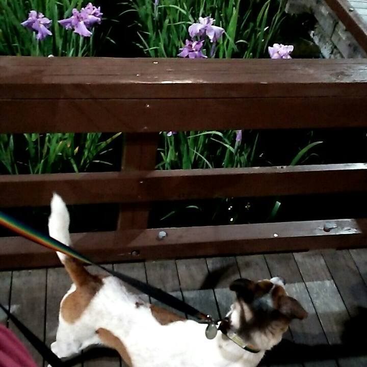 D3c35c7d 5642 44c1 a154 10645d58fab4