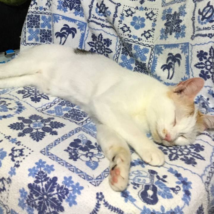 D3c39920 5bfa 492c b0d9 687d2ee045e1