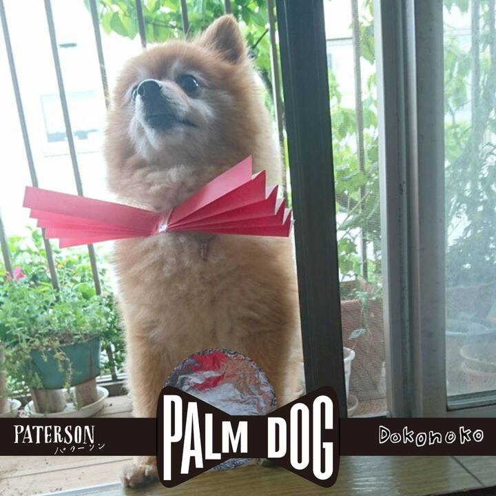 D3c3b25f 23e7 4182 807b b0a3e27ce0d6