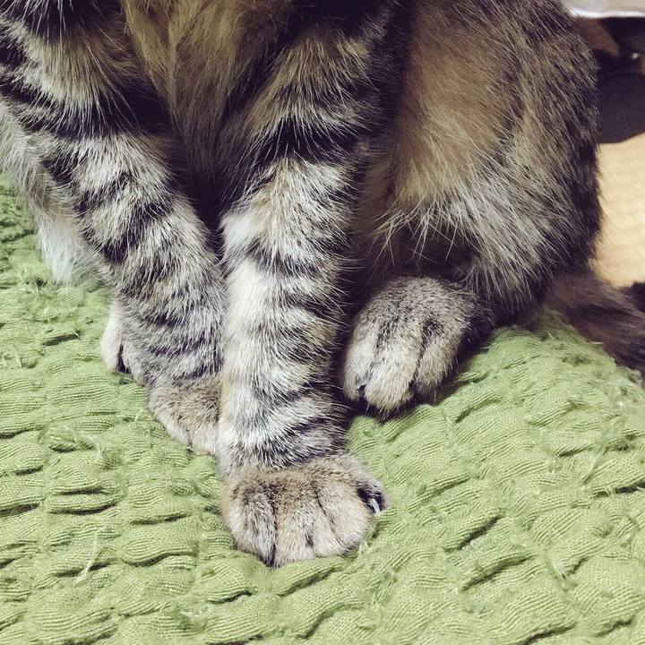 D3c3f6be c24e 4088 8d3a 43340f203c66