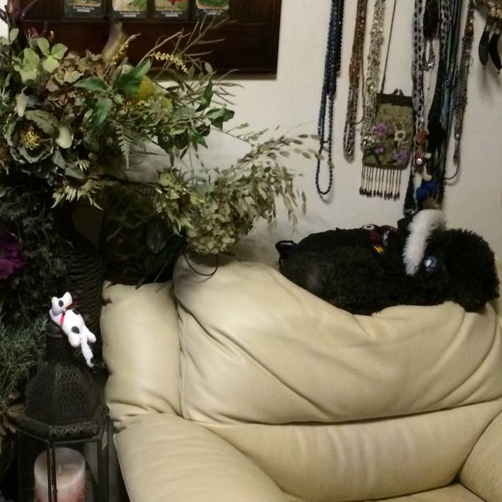 D3c40dcb e1b3 4cf9 acf9 2bb8fae01629