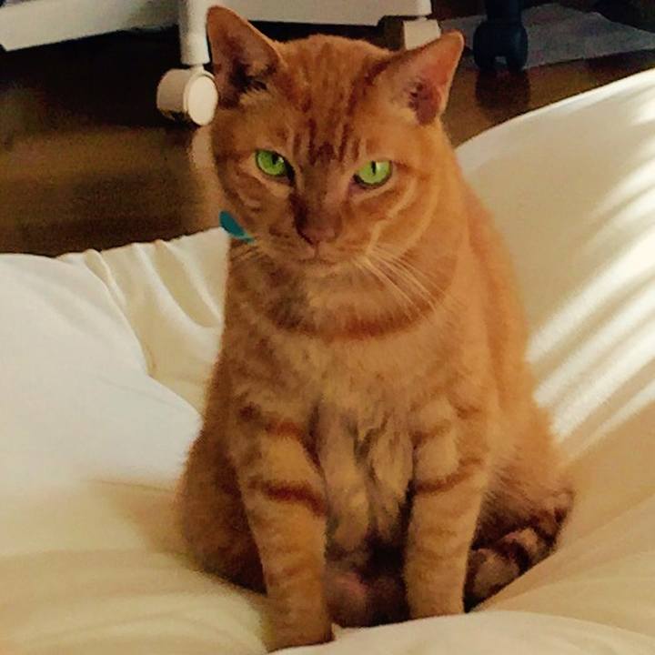 D3c44eac 6d10 4b3f 8589 293ae5d5d093