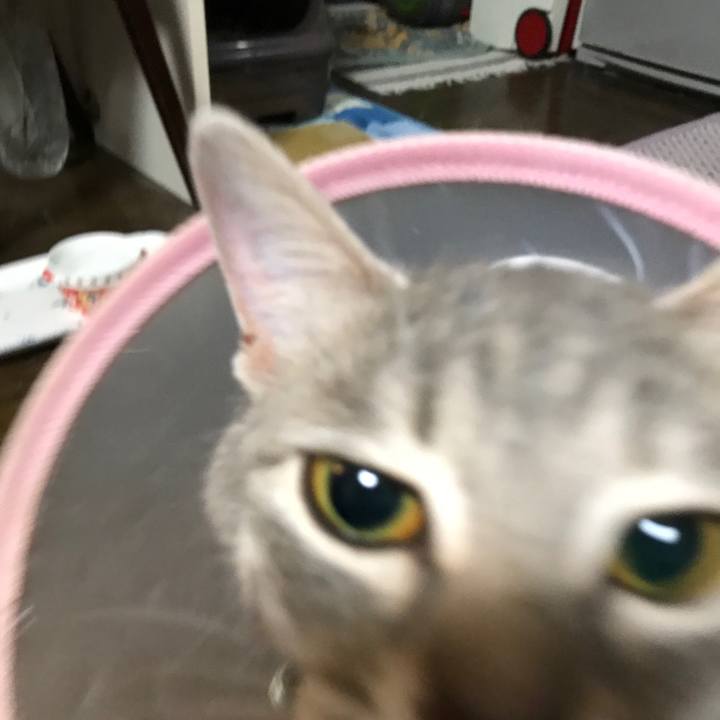 D3c45de9 25fd 4440 8ca3 9ba9c94fd951