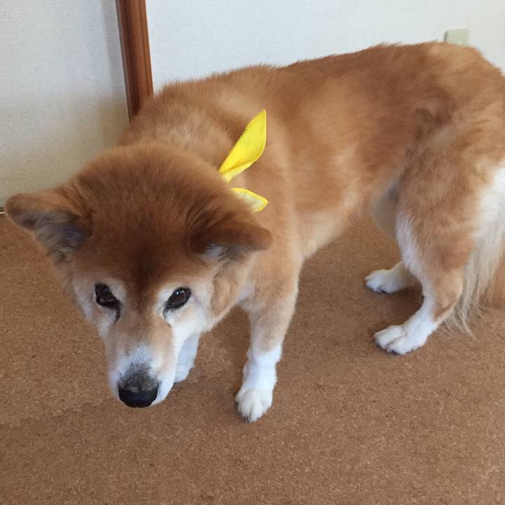 D3c46b04 aac3 4bf7 97cd 743aedd50e6b