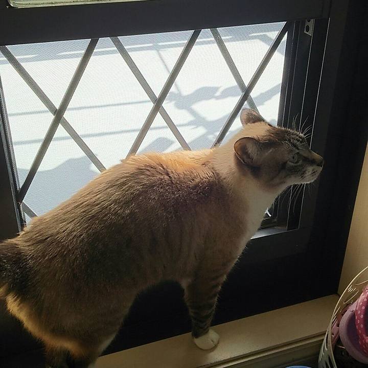 D3c593e8 65dc 4ae6 a642 c943a13a23e1