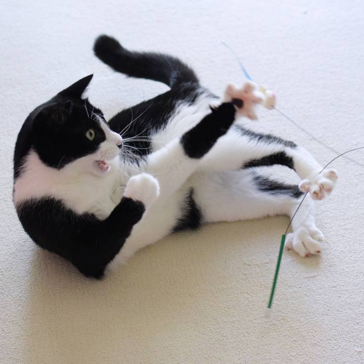 D3c5cc76 842b 425b 9f26 970e014ff1ff