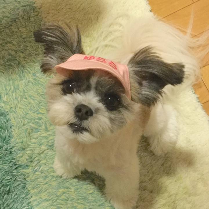 D3c5f084 6eae 41fd a1ec cf83b3555f06