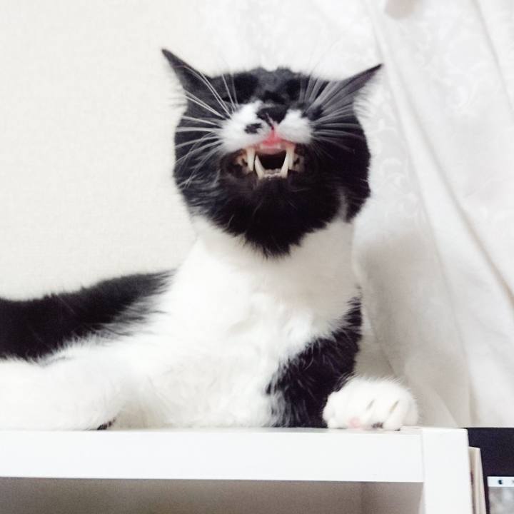 D3c66799 0a59 46f8 b6c4 274e235dc919