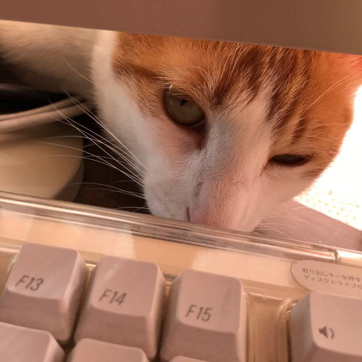 D3c67589 44f1 44e6 a827 b8ff1ea0904c