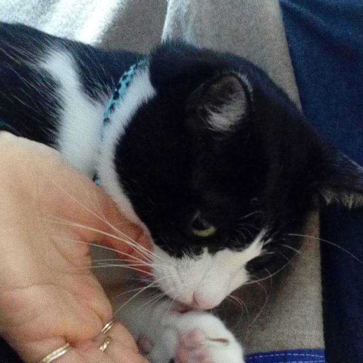 D3c766dd f803 4744 bcdc f700770502a2