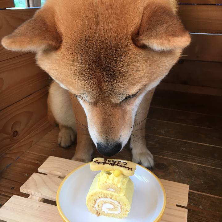 D3c85996 2389 4368 8245 8b341237f12e