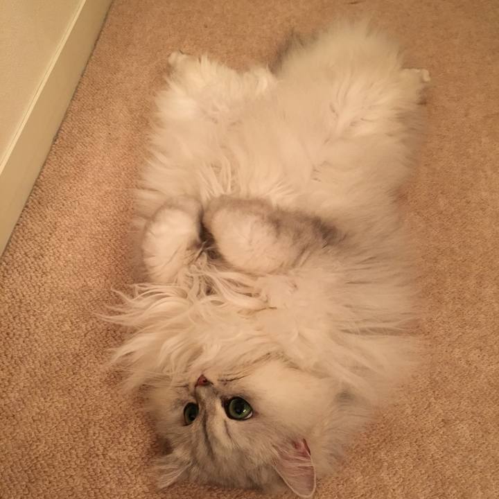 D3c89edd 0e7d 49e8 bd0e 7506c2d31433