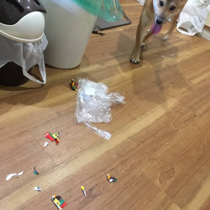 D3c8fc57 b0f7 4e61 a317 c8471c2e68e6