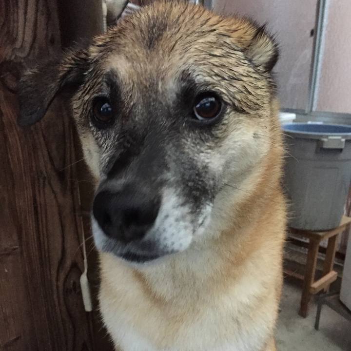 D3c9533a 94b0 4eec b640 1684b8fccf85