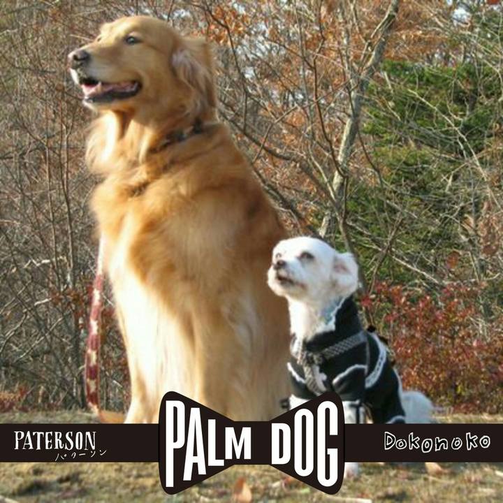 D3c98bad 31f2 49e2 b1e0 3a19fc3426bd