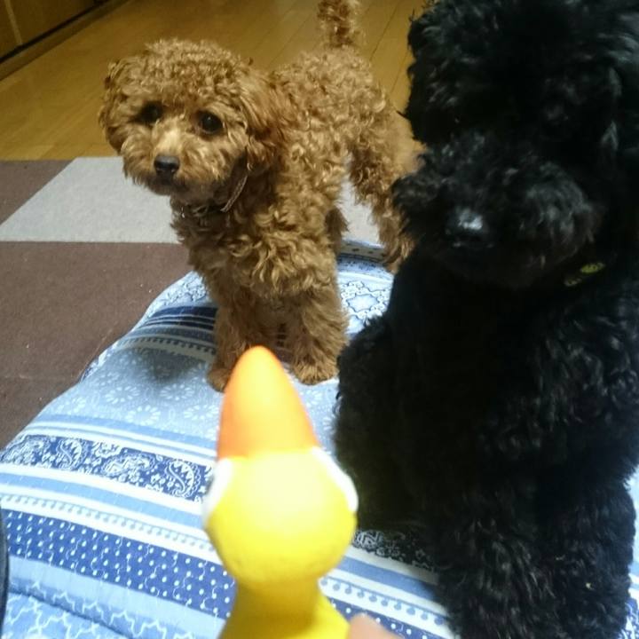 D3c98d28 e258 407c a504 0da90415bade