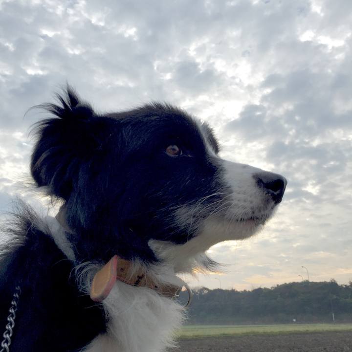 D3c99c5a 28e0 4bf2 9201 7ab4ab62117b