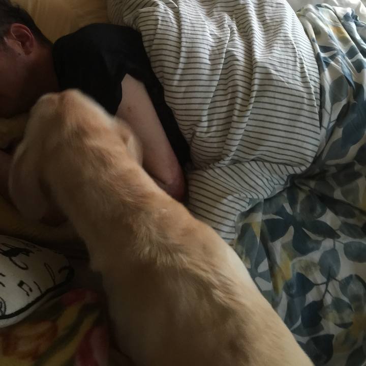 D3ca9738 038f 41db 8285 1a961340c577