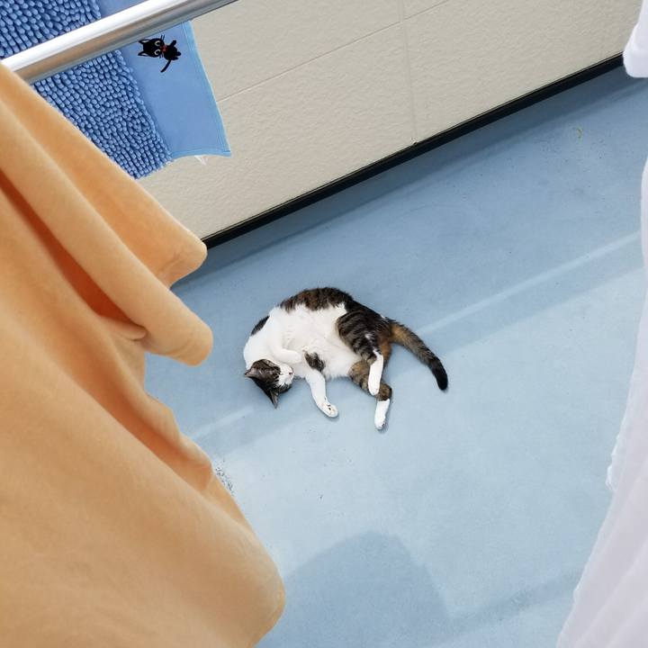 D3cacc9c ff33 432d ae8f 737bcfe9ee20