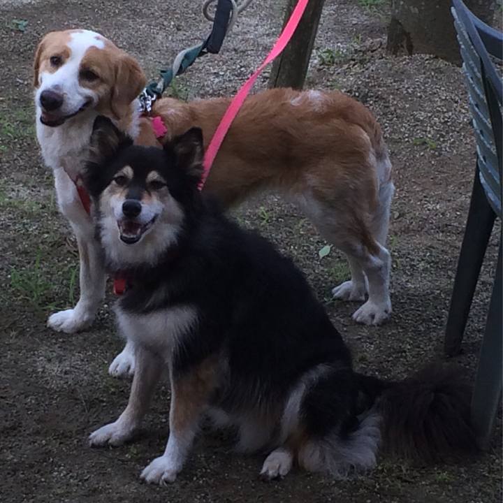 D3cafa85 4777 470f 9834 bfec0c9a6f6e