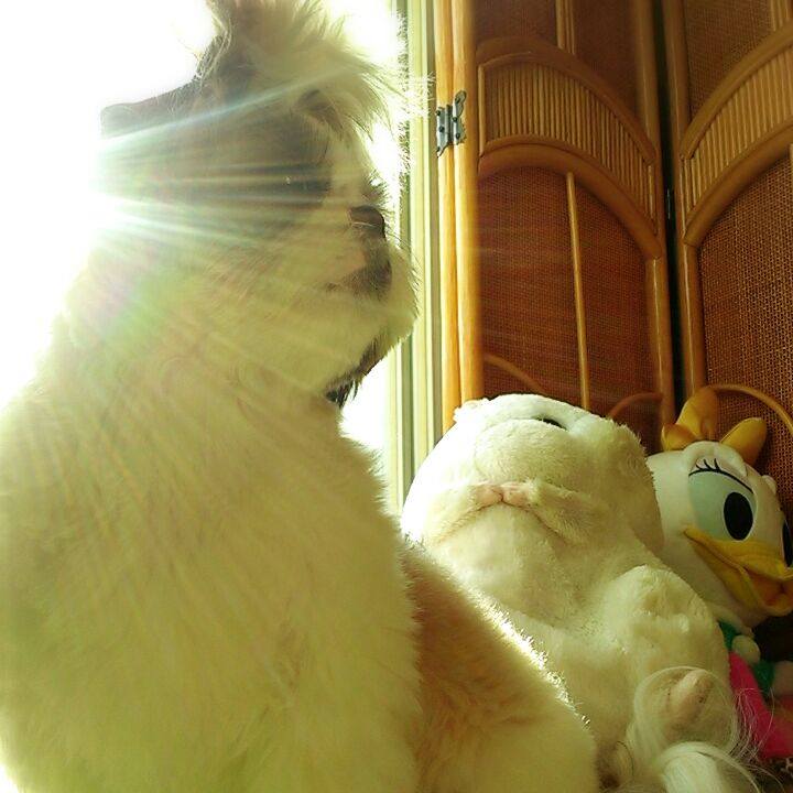 D3cba9d6 acd6 4873 8554 85adb9fd9ee4