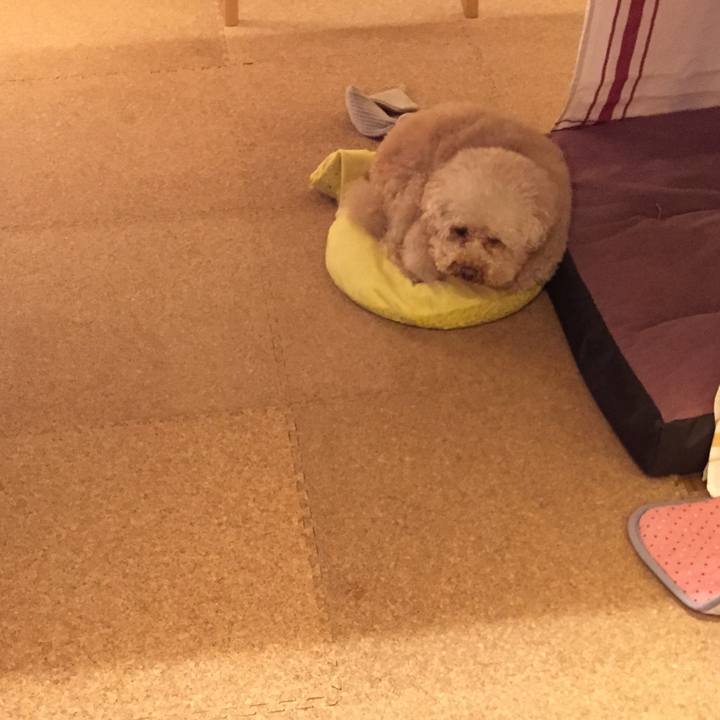 D3cbfb07 a284 4b8e bab8 ccd79b116c4f