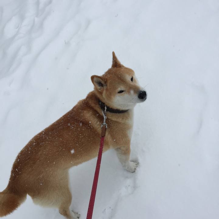 D3cc3a81 2594 40c5 a7f4 b5a117b914cb