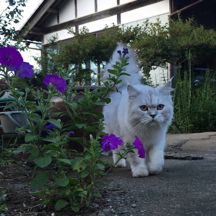 D3cca8ba 9dd1 4c32 8dbe 95e96537b0b3