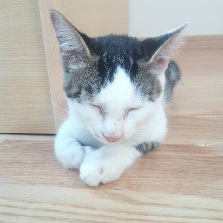 D3ccb0e4 6b01 4940 9b54 a59ac2d5a9ab