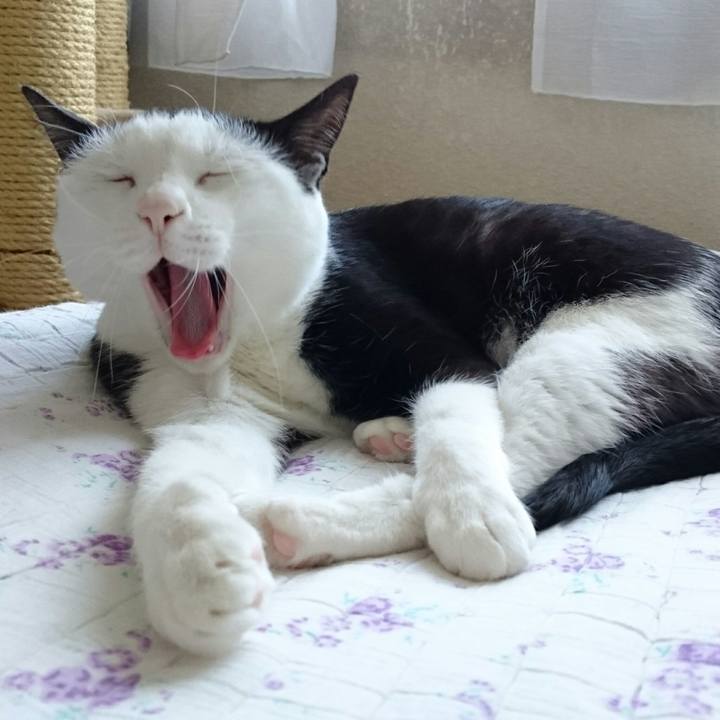 D3ccec9e 6d3e 45f6 8acb d0f1924ce7b6