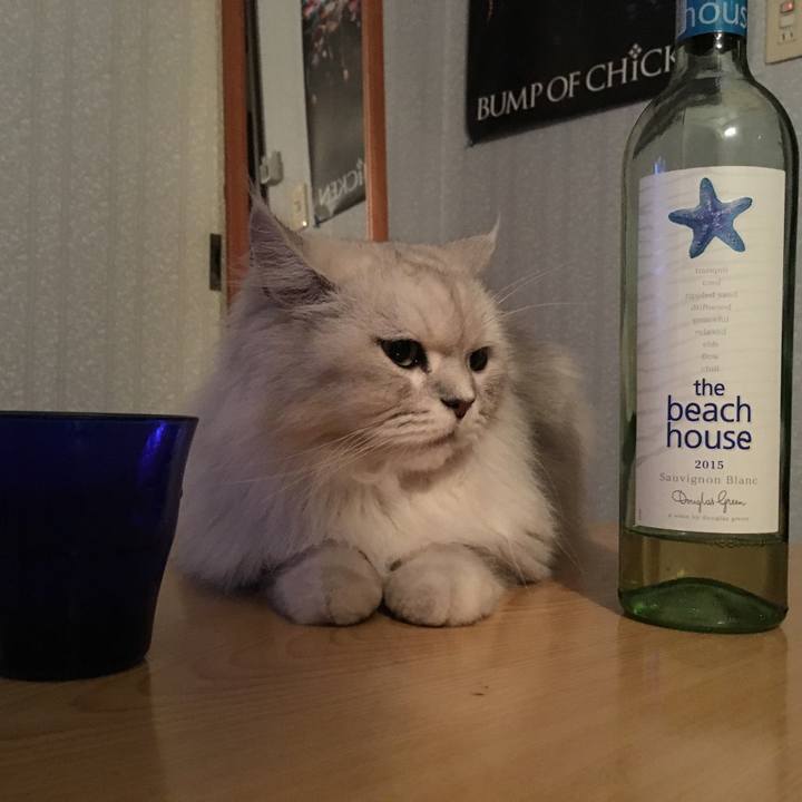 D3cd66b4 94ca 4c92 bce8 68da22605a0e